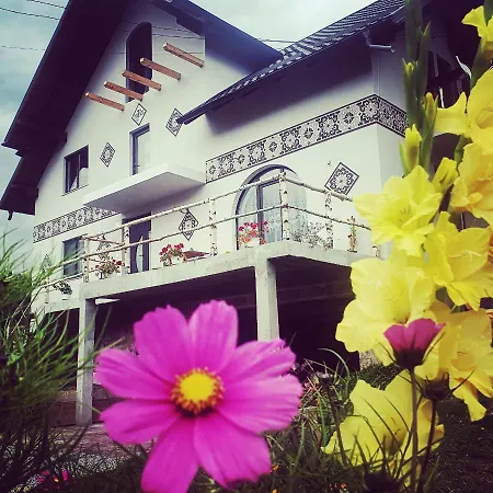 Casa Aureliana Dom wakacyjny Ciocanesti